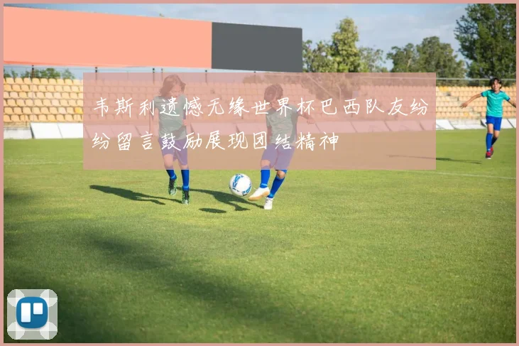 韦斯利遗憾无缘世界杯巴西队友纷纷留言鼓励展现团结精神