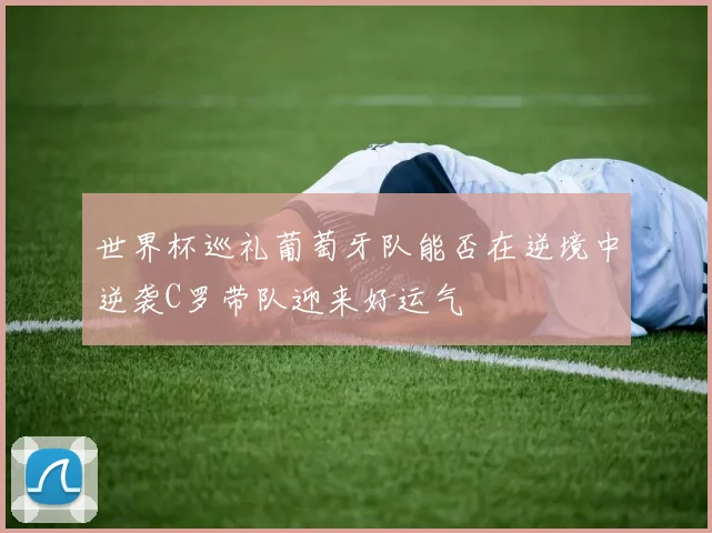 世界杯巡礼葡萄牙队能否在逆境中逆袭C罗带队迎来好运气